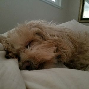 Meet your Posher, Deanna